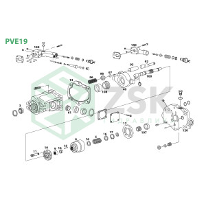 PVE19
