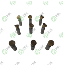 2401-1252A Поршень с башмаком 20x66.5