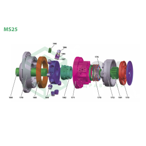 MS25