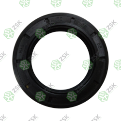 Kawasaki